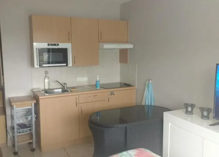 Apartment Voor 4 Personen Met Zwembad Aan Zee Bredene